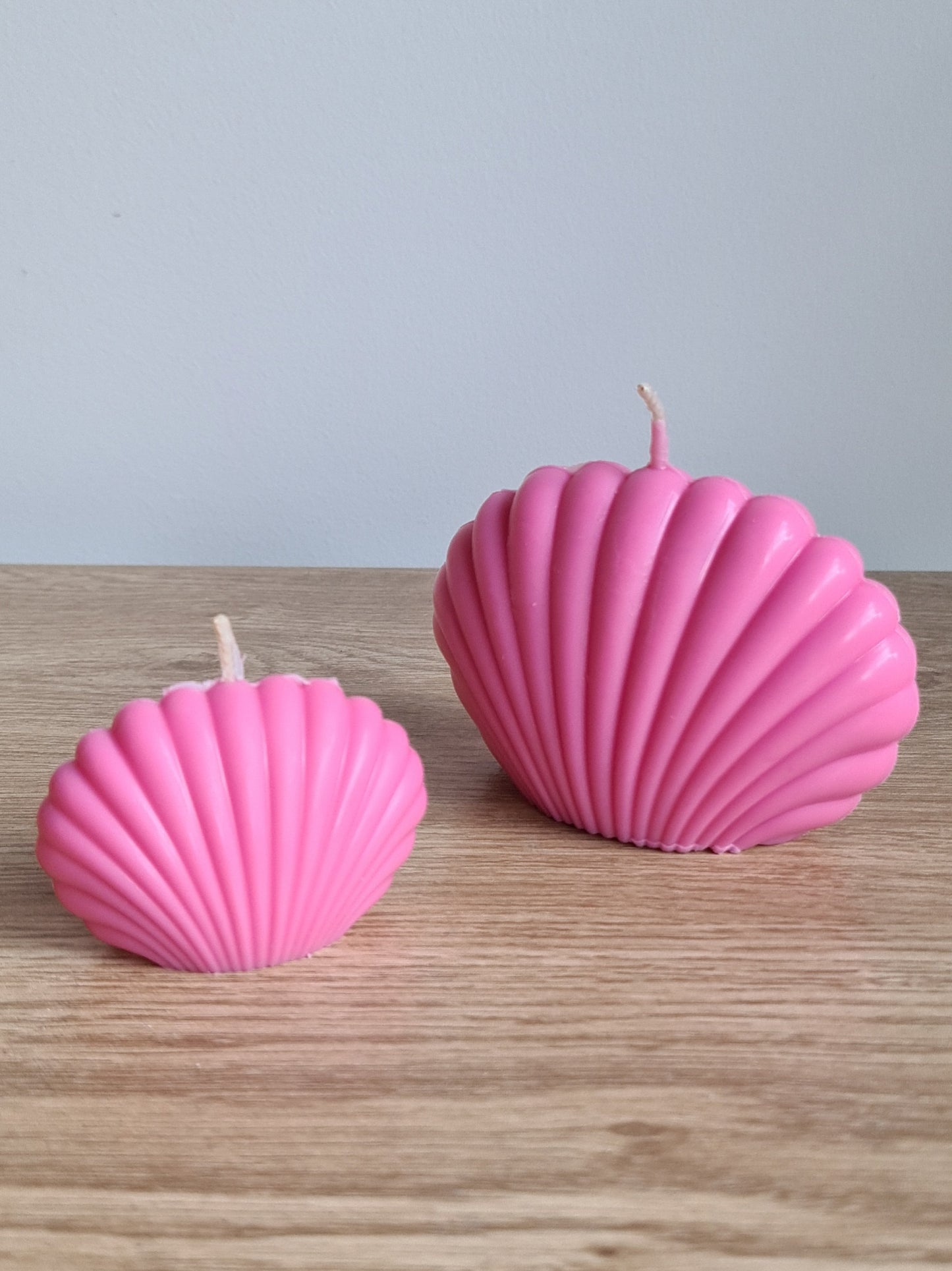 Shell Candle Duo